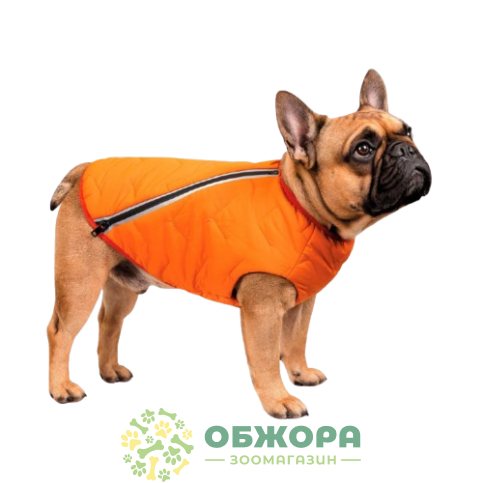 Pet Fashion E.Vest_1