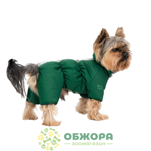 Pet Fashion Ego_2