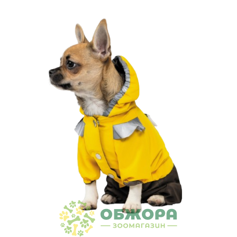 Pet Fashion Elsa_1