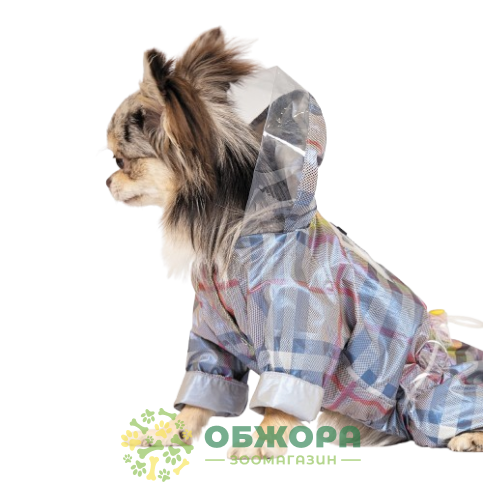 Pet Fashion Fall_3