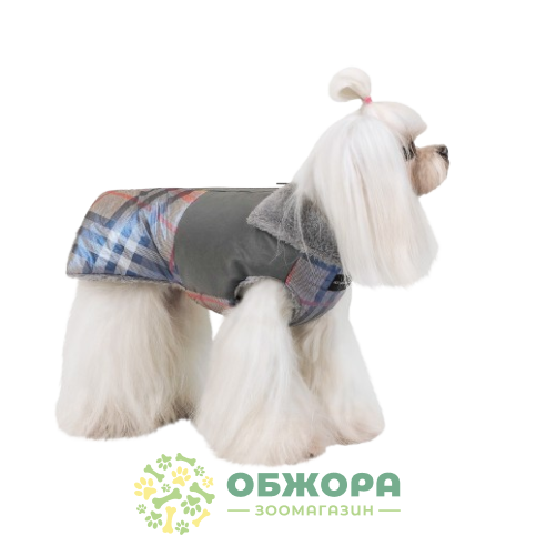 Pet Fashion Fashion_3