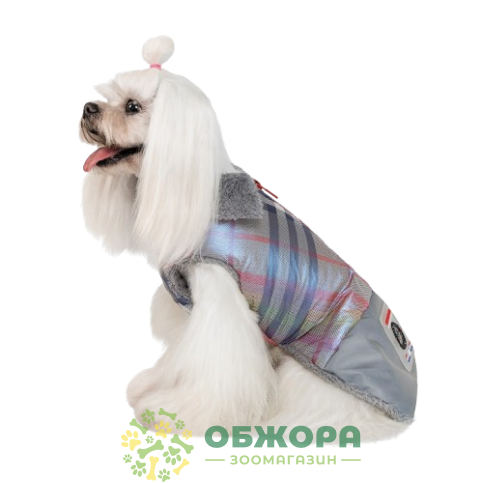 Pet Fashion Fashion_2