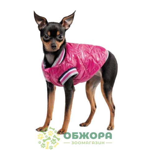 Pet Fashion Grace_2