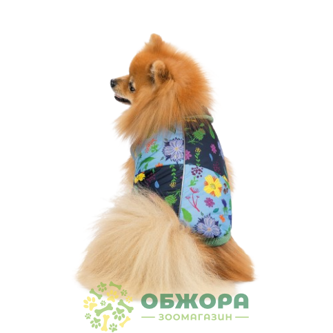 Pet Fashion Grass_2