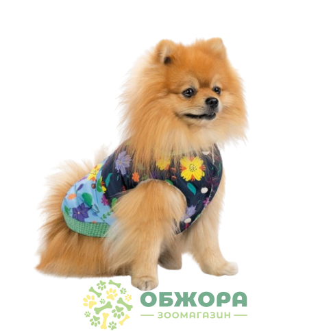 Pet Fashion Grass_1