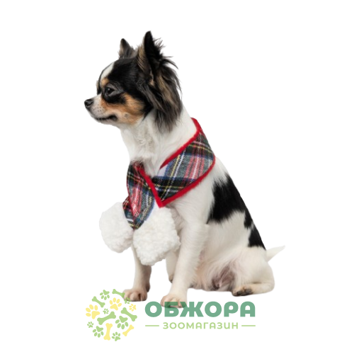 Pet Fashion Happy_2