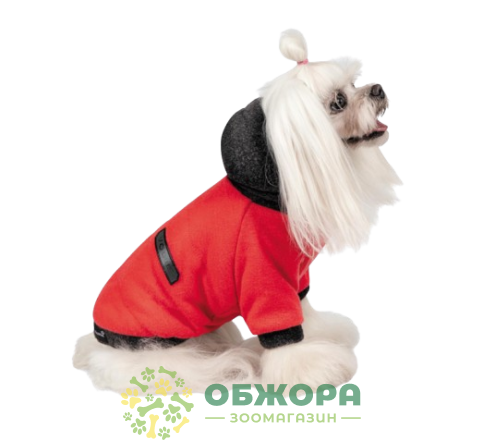 Pet Fashion Holiday_1