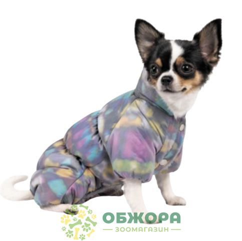 Pet Fashion Indigo 3D_1