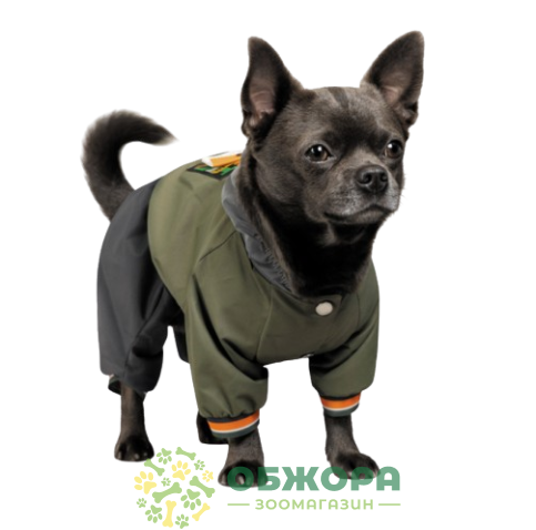 Pet Fashion Jimi_1