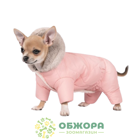 Pet Fashion Judy_1