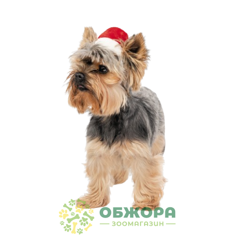 Pet Fashion колпак_2