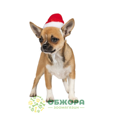 Pet Fashion колпак_1