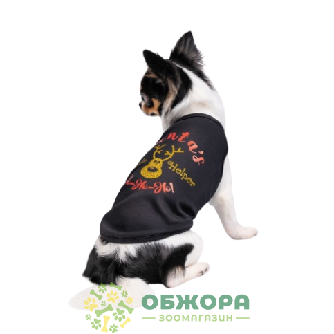 Pet Fashion Little Helper_1