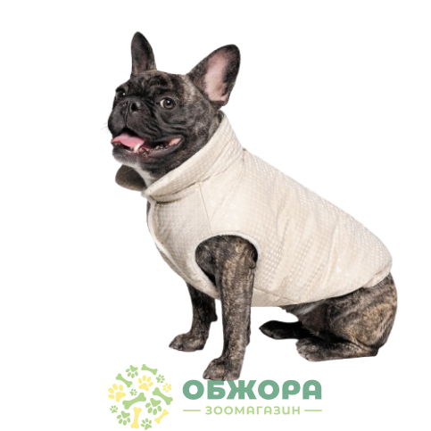Pet Fashion Lucky_1