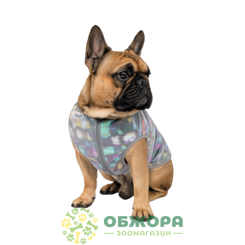 Pet Fashion Magic_1