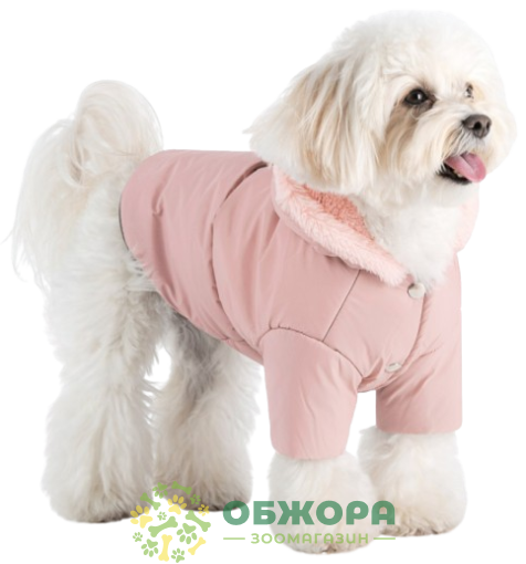Pet Fashion Mila костюм для собак, для дівчинки, пудровий_1