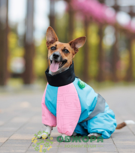 Pet Fashion Milly комбинезон для собак, для девочки, со светодиодом, голубой_4