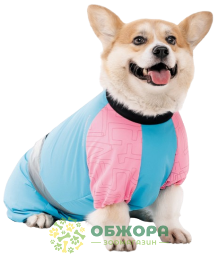 Pet Fashion Milly комбинезон для собак, для девочки, со светодиодом, голубой_1