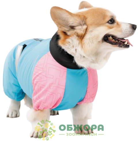 Pet Fashion Milly комбинезон для собак, для девочки, со светодиодом, голубой_2