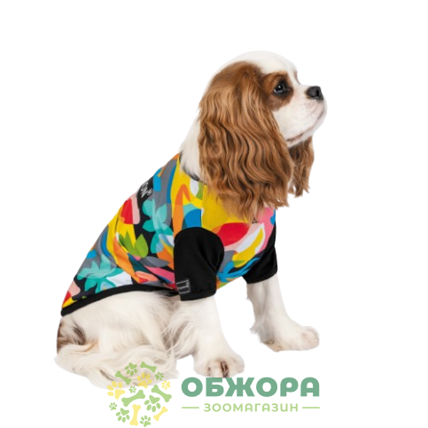 Pet Fashion Mood_1