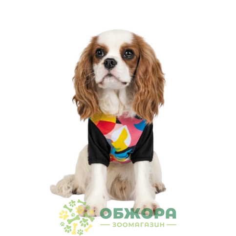 Pet Fashion Mood_2