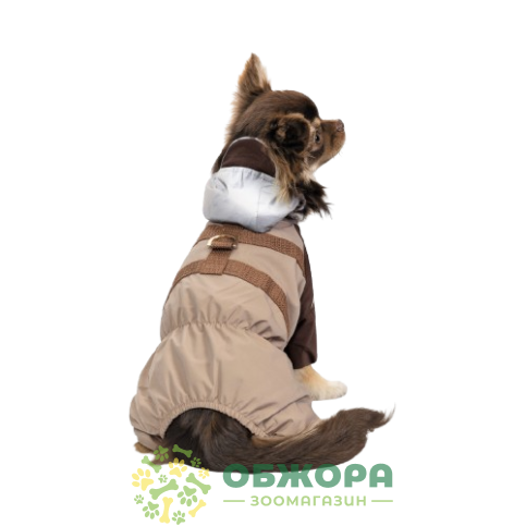 Pet Fashion Mustang_2