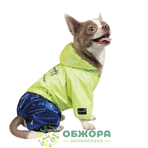 Pet Fashion Pulse_1