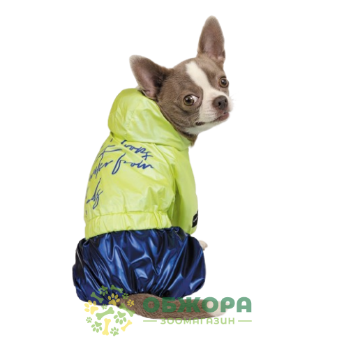 Pet Fashion Pulse_2