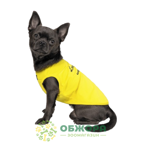 Pet Fashion Puppy_4