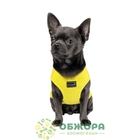 Pet Fashion Puppy_2