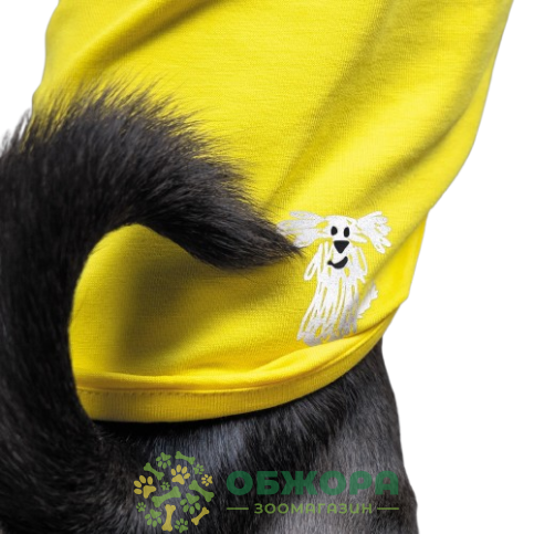Pet Fashion Puppy_3