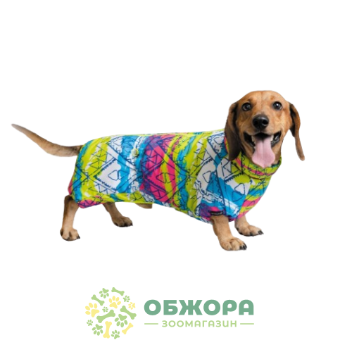 Pet Fashion Puzzle_2