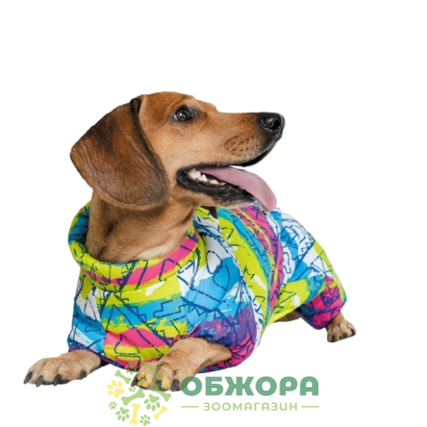 Pet Fashion Puzzle_1