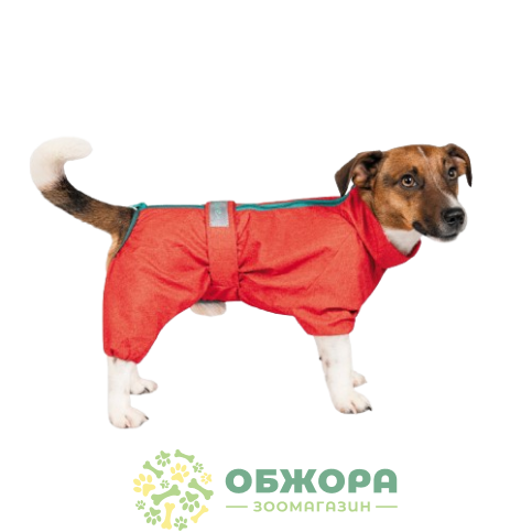 Pet Fashion RAIN_1