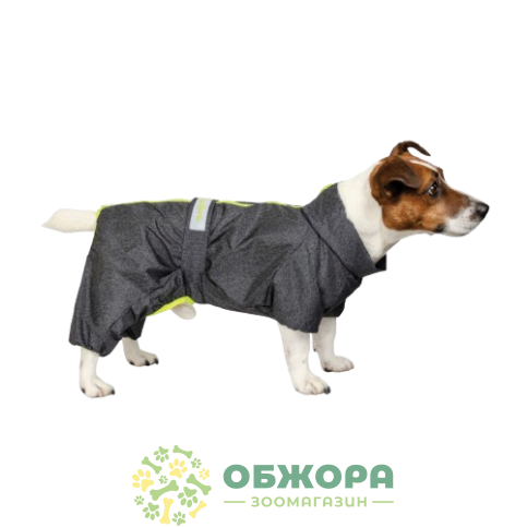 Pet Fashion Rain_2