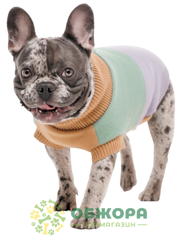 Pet Fashion Rich свитер для собак, вязаный_1