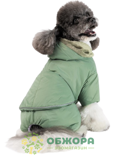 Pet Fashion Richi костюм для собак, оливковый_1