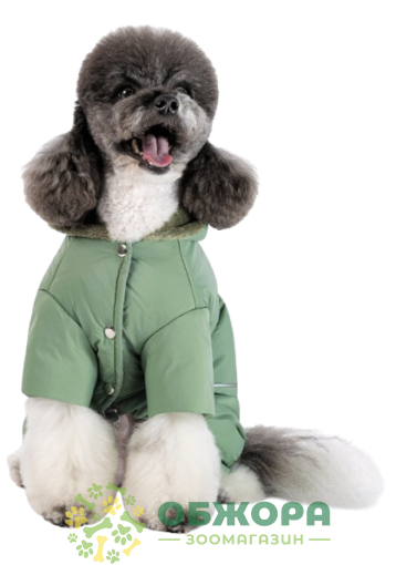 Pet Fashion Richi костюм для собак, оливковый_3