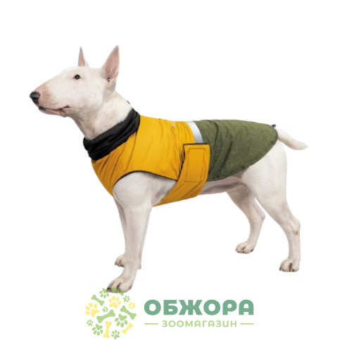 Pet Fashion Roy_1