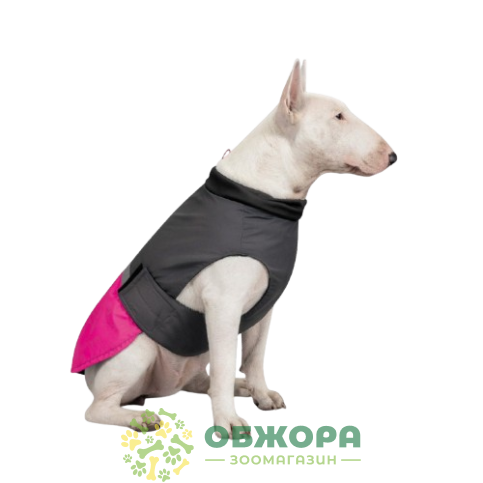Pet Fashion Roy_1