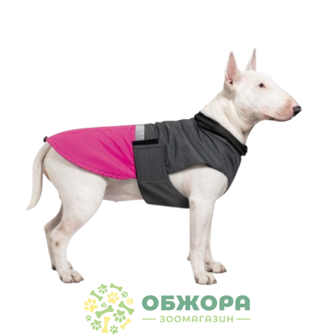 Pet Fashion Roy_2