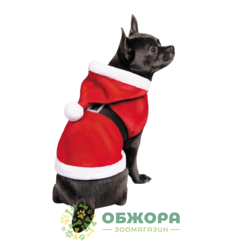 Pet Fashion Santa_1