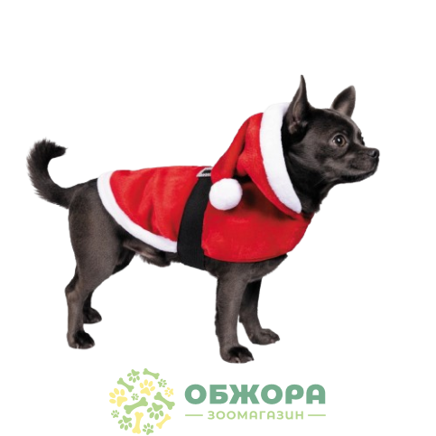 Pet Fashion Santa_2