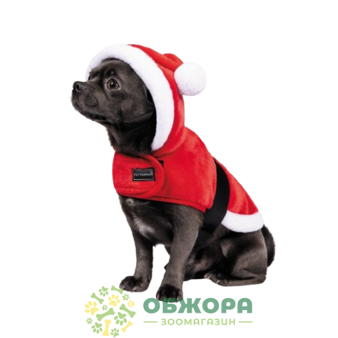 Pet Fashion Santa_3