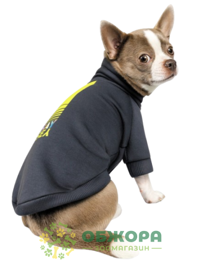 Pet Fashion Сarbon_1
