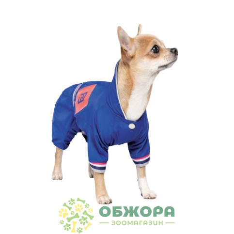 Pet Fashion Silver_1