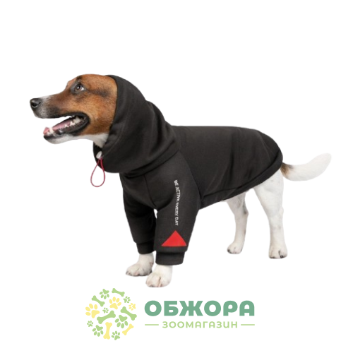 Pet Fashion Snoodie_2