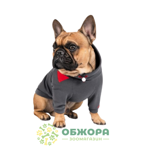 Pet Fashion Snoodie_2