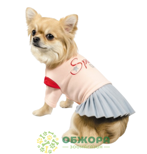 Pet Fashion Space_2