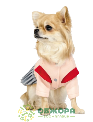 Pet Fashion Space_1